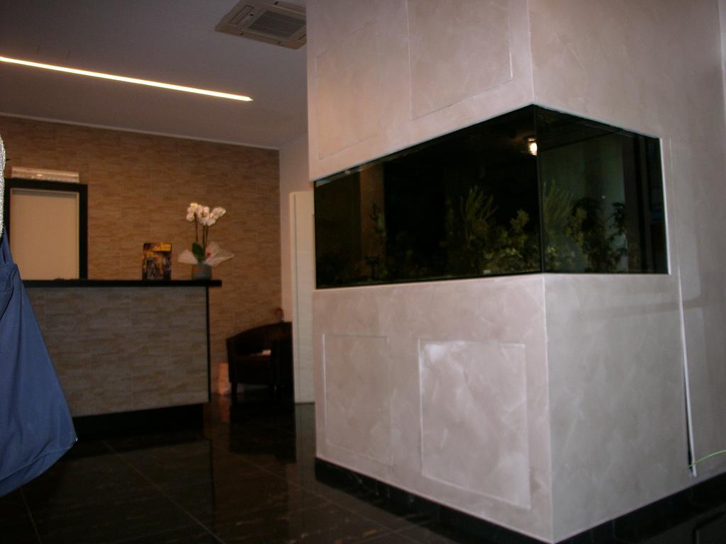 Lido 4*